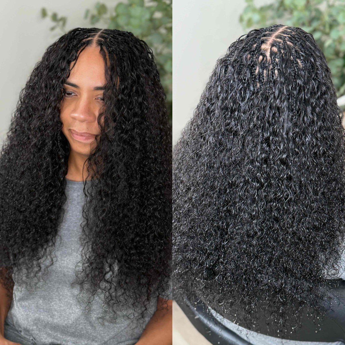Burmese Curly