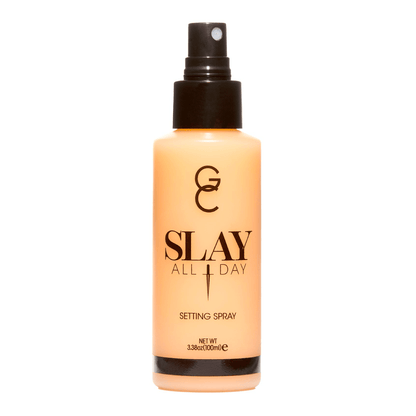 Dreamsicle - Slay All Day Setting Spray