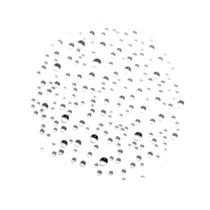 Dreamsicle - Slay All Day Setting Spray